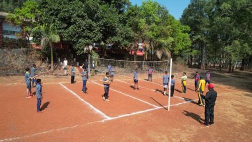 Wolley Ball Playground